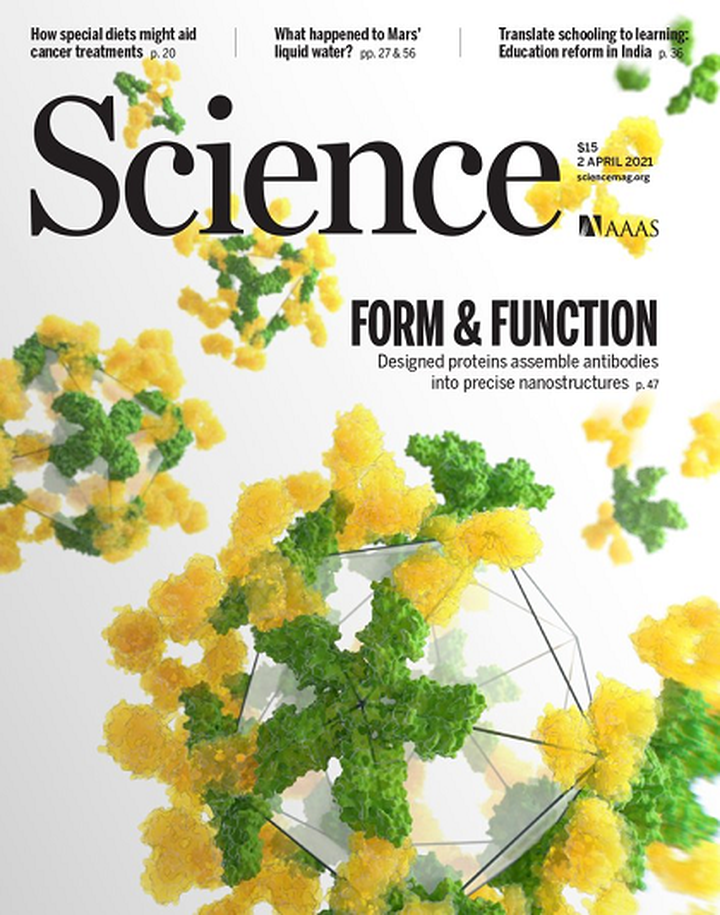 SciNat за апрель 2021 #1: как стресс влияет на волосы, белковая геометрия и ингибиторы главной протеазы SARS-CoV-2