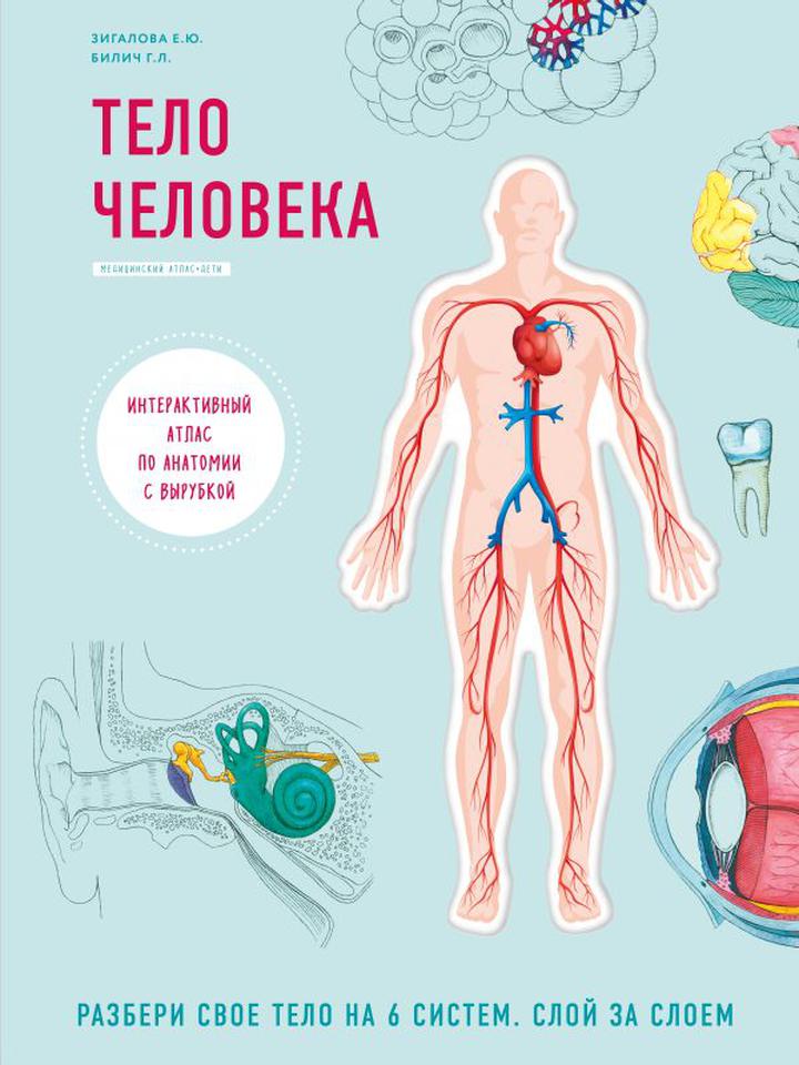 Елена Зигалова, Габриэль Билич: «Тело человека». Рецензия