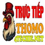 ĐÁ GÀ TRỰC TIẾP