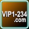 VIP234