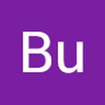 Bu T