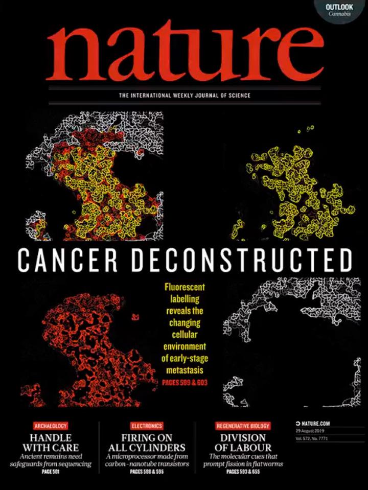 SciNat за август 2019 #5: гены гомосексуальности, техасский покер и приветы из прошлого