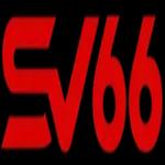 sv66team cn com