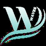Webinar Waves