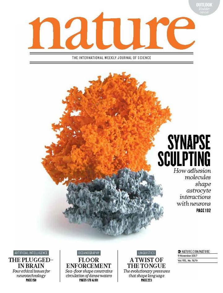 SciNat за ноябрь 2017 #2: способ вырастить здоровый эпидермис, влияние метионина на продолжительность жизни и хеширование в мозге плодовой мушки