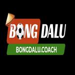 bongdalucoach