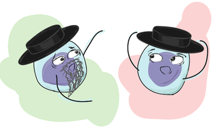 Анализ индивидуальных репертуаров Т-клеточных рецепторов