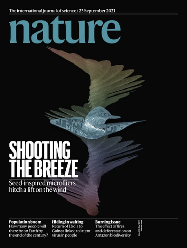 SciNat за сентябрь 2021 #4: регенерация сердца, сожительство людей с мастодонтами и неуязвимый для антител коронавирус