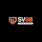 SV88 SPACE