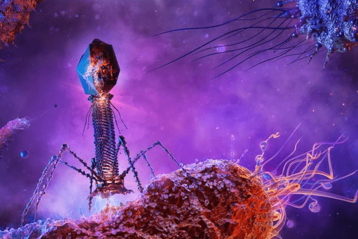 Как преодолеть PARIS с помощью тРНК