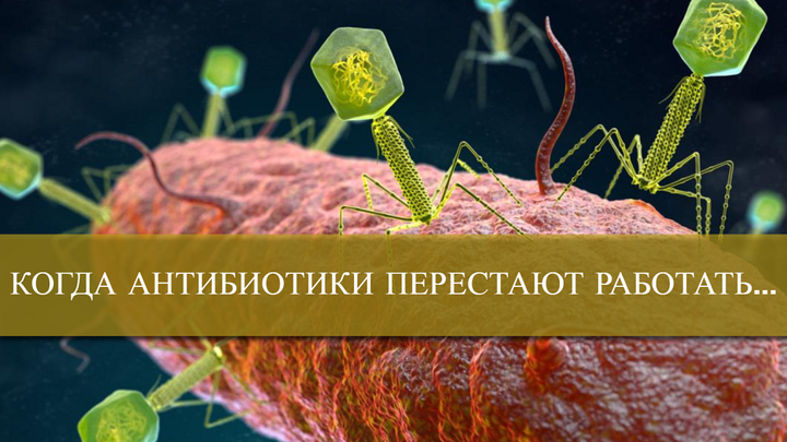 Когда антибиотики перестают работать...