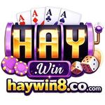 Haywin Cổng Game