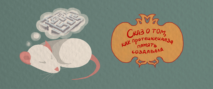 Сказ о том, как протеинкиназа память создавала