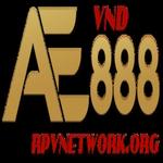 AE888VND rpvnetwork