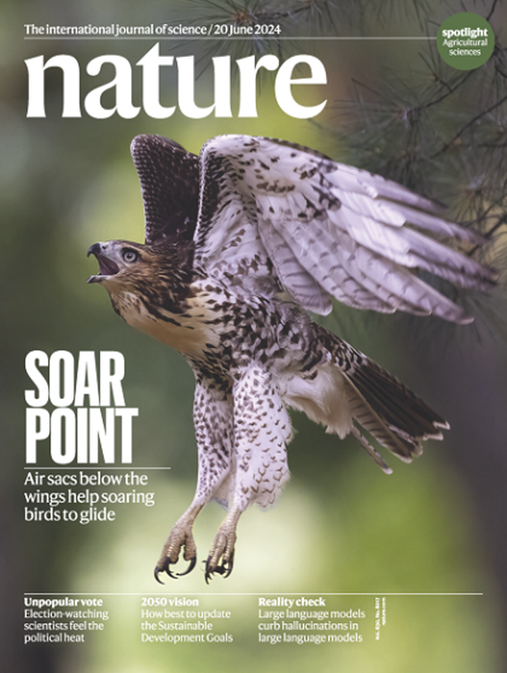 SciNat за июнь 2024 #4: преимущества парящих птиц, этические вопросы LLM, «хорошие» и «плохие» бактерии, как лечатся шимпанзе в дикой природе