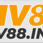 Mv88 ink