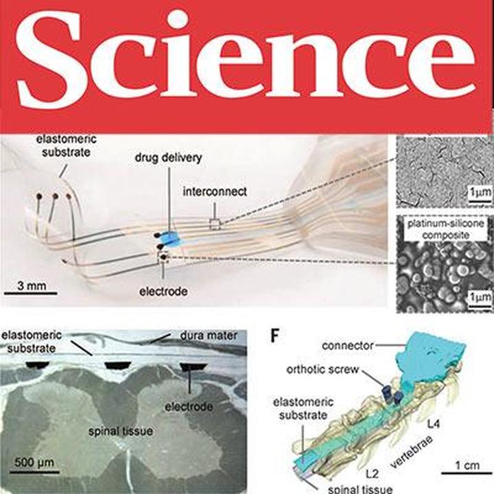 Science #347(6218): не глисты — так туберкулез, улетная структура трансгидрогеназы и много красивой молекулярки