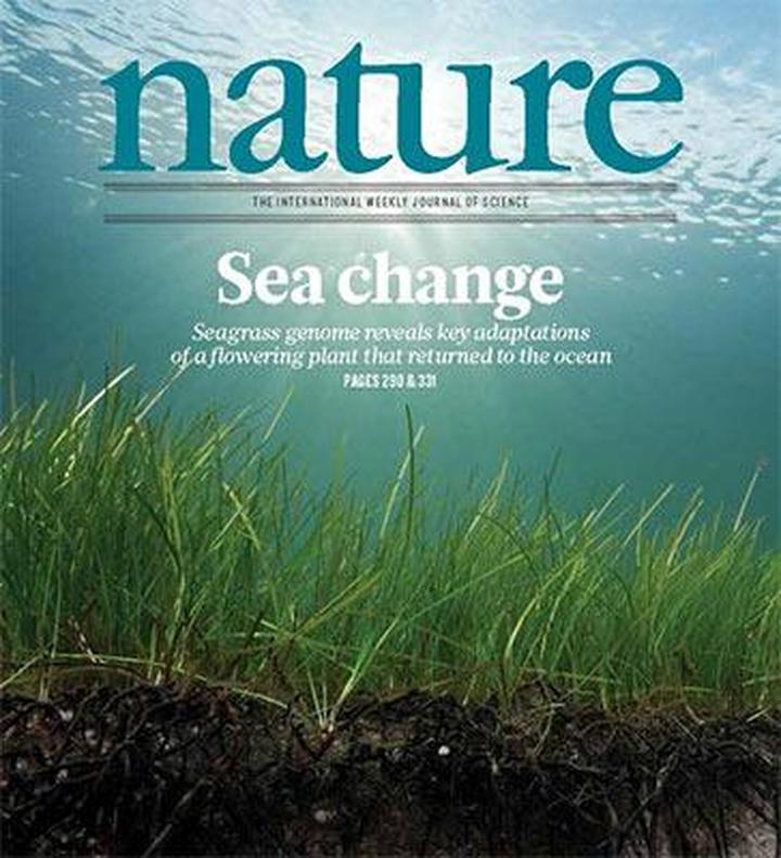 SciNat за февраль 2016 #3: эволюция мозга позвоночных, обращение симптомов аутизма и бактерии, помогающие детям расти