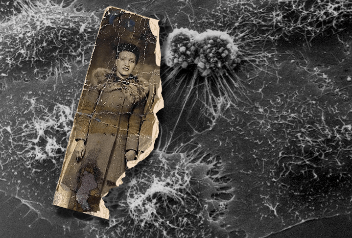 Бессмертные клетки Генриетты Лакс