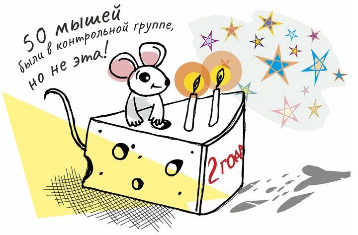 Виварий. Путь лабораторной мыши от заказа до исследований