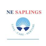 Ne Saplings