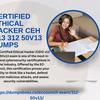 certifiedethical hacker