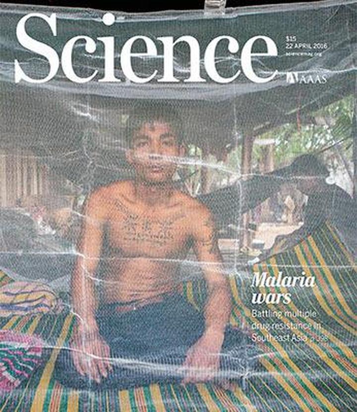 SciNat за апрель 2016 #4: ген большого клюва, грязные соседи в помощь иммунитету, новые американские обезьяны