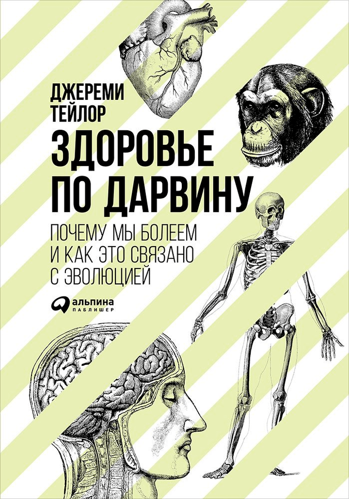 Шрамы человеческой эволюции: рецензия на книгу «Здоровье по Дарвину»