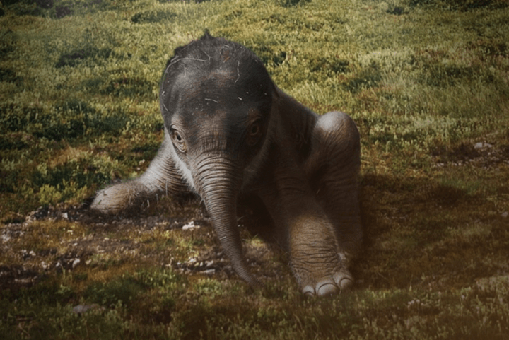 Фантасты в лабораторных халатах: как безумные идеи превратились в бизнес будущего