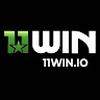 11WIN IOO