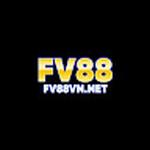 Fv88v nnet