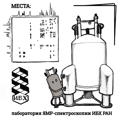 Курсовая работа по теме Поверхностный ядерный магнитный резонанс