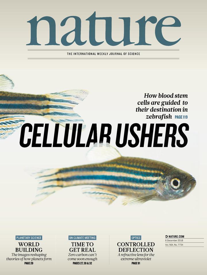SciNat за декабрь 2018 # 2: гемопоэз оболочников, новые эффекторы CRISPR-Cas и теплокровие ихтиозавров
