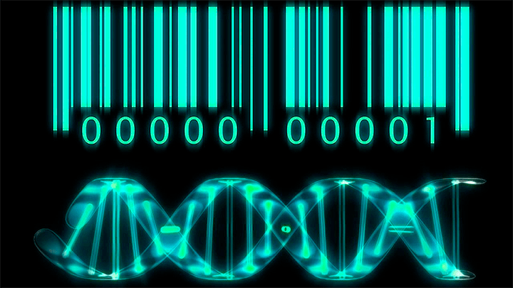 Огурцы-убийцы, или Как встретились Джим Уотсон и Гордон Мур