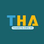 orgvc thabet8