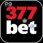 377bet com