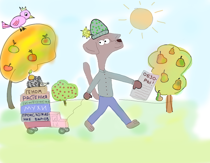 Галопом по обзорам: осенний марафон 2022