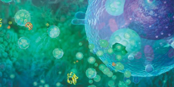 Экзосомы: научная альтернатива сказочным молодильным яблокам