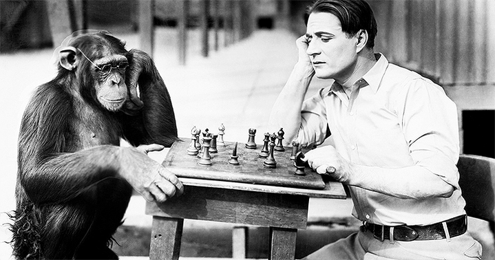 Молекулярная эволюция мозга — от обезьяны до человека