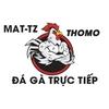 XEM ĐÁ GÀ TRỰC TIẾP