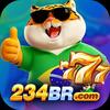 234br