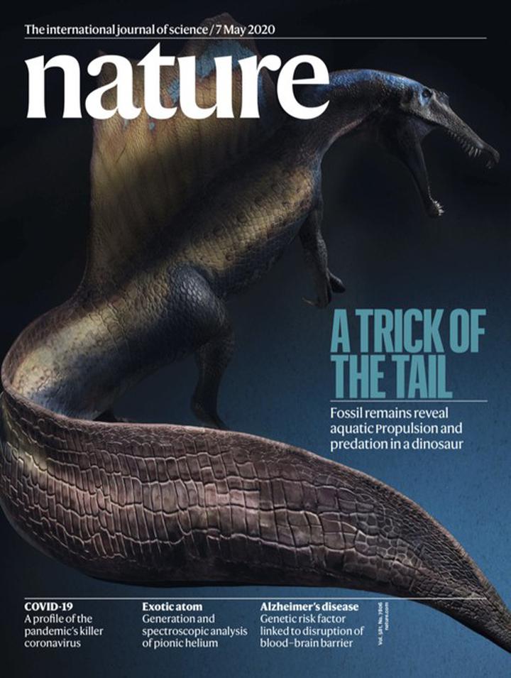 SciNat за май 2020 #1: эмбриональная мозаика, имплантированный фотосинтез и антибактериальные статины