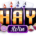 1Haywin tech