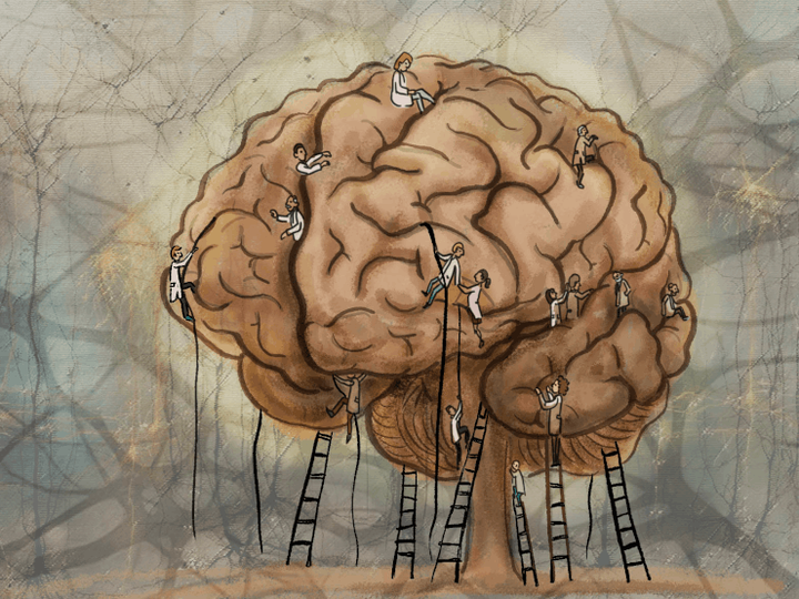 Мозговой штурм: краткая история медицинских нейротехнологий