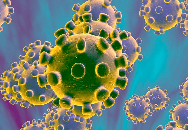 2019-nCoV: очередной коронованный убийца?