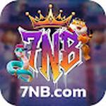 7NB Plataforma de Jogos