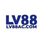 lv8800 com