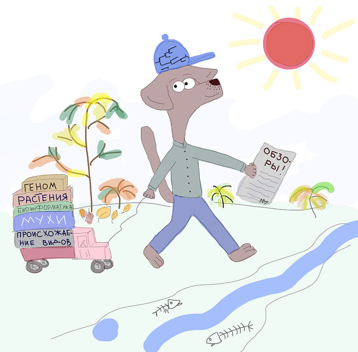 Галопом по обзорам: летний марафон 2024