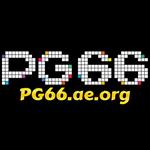 PG66 AEORG