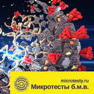 Продукция 2021 года: белки и антитела к SARS-CoV-2